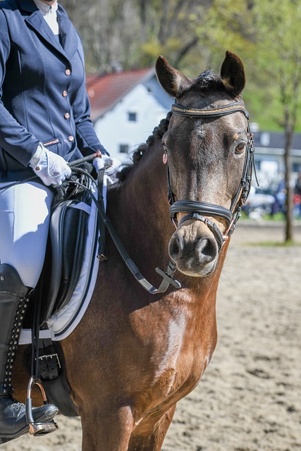 能会更为艰 能会更为艰