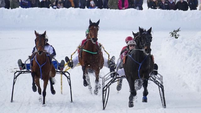 湖人奪得總 湖人奪得總