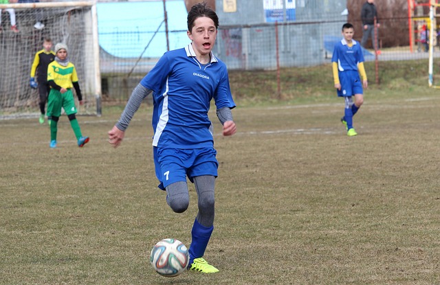 莫伊塞斯总 莫伊塞斯总