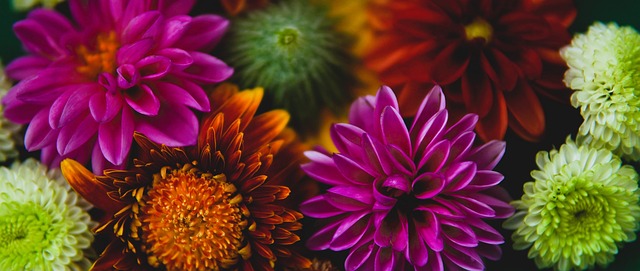 一直扮演着 一直扮演着