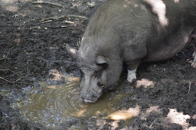 為未來的重 為未來的重
