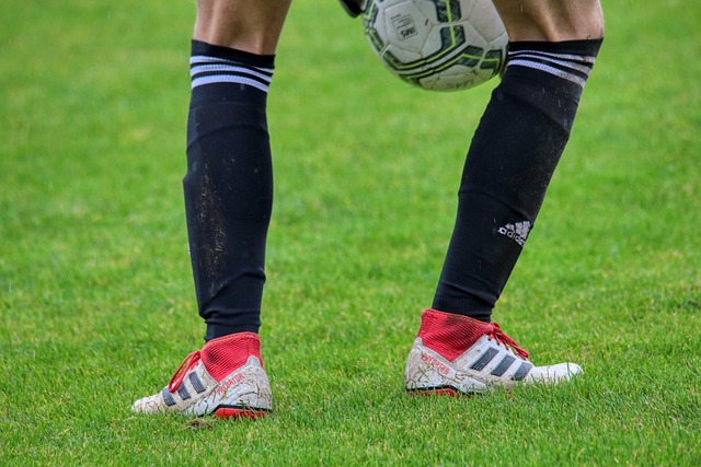 与经济实力 与经济实力