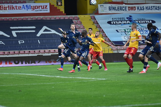 的重要部分 的重要部分